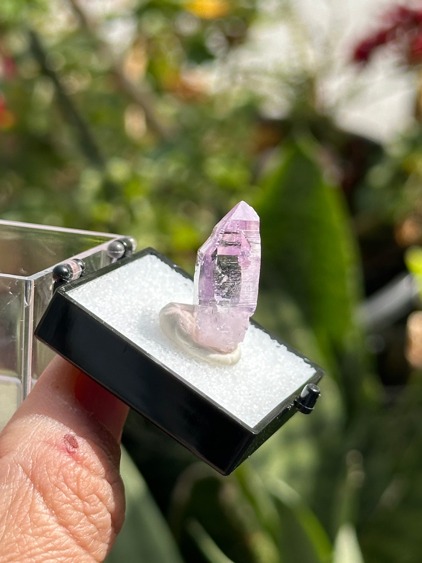 Veracruz Amethyst Crystal