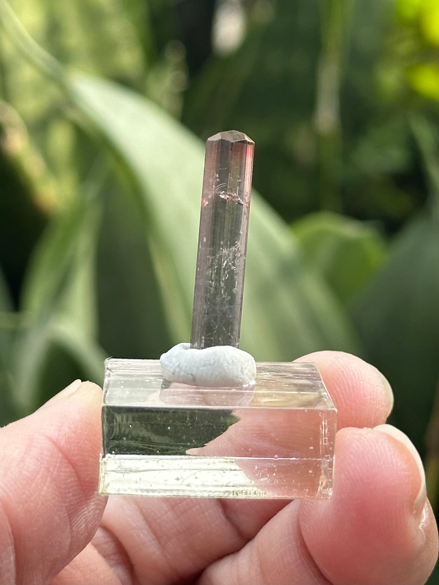 Tourmaline from Barra do Salinas, Brazil