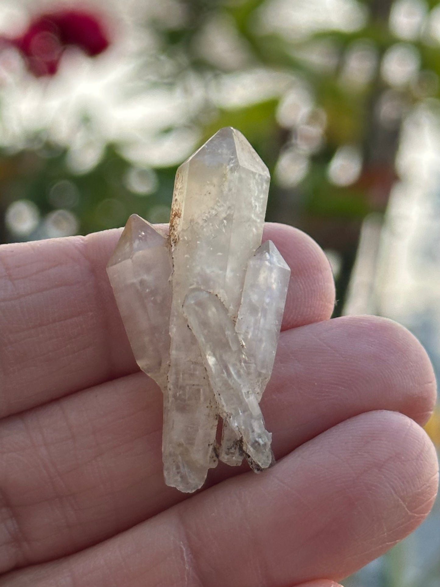Quartz Scepter