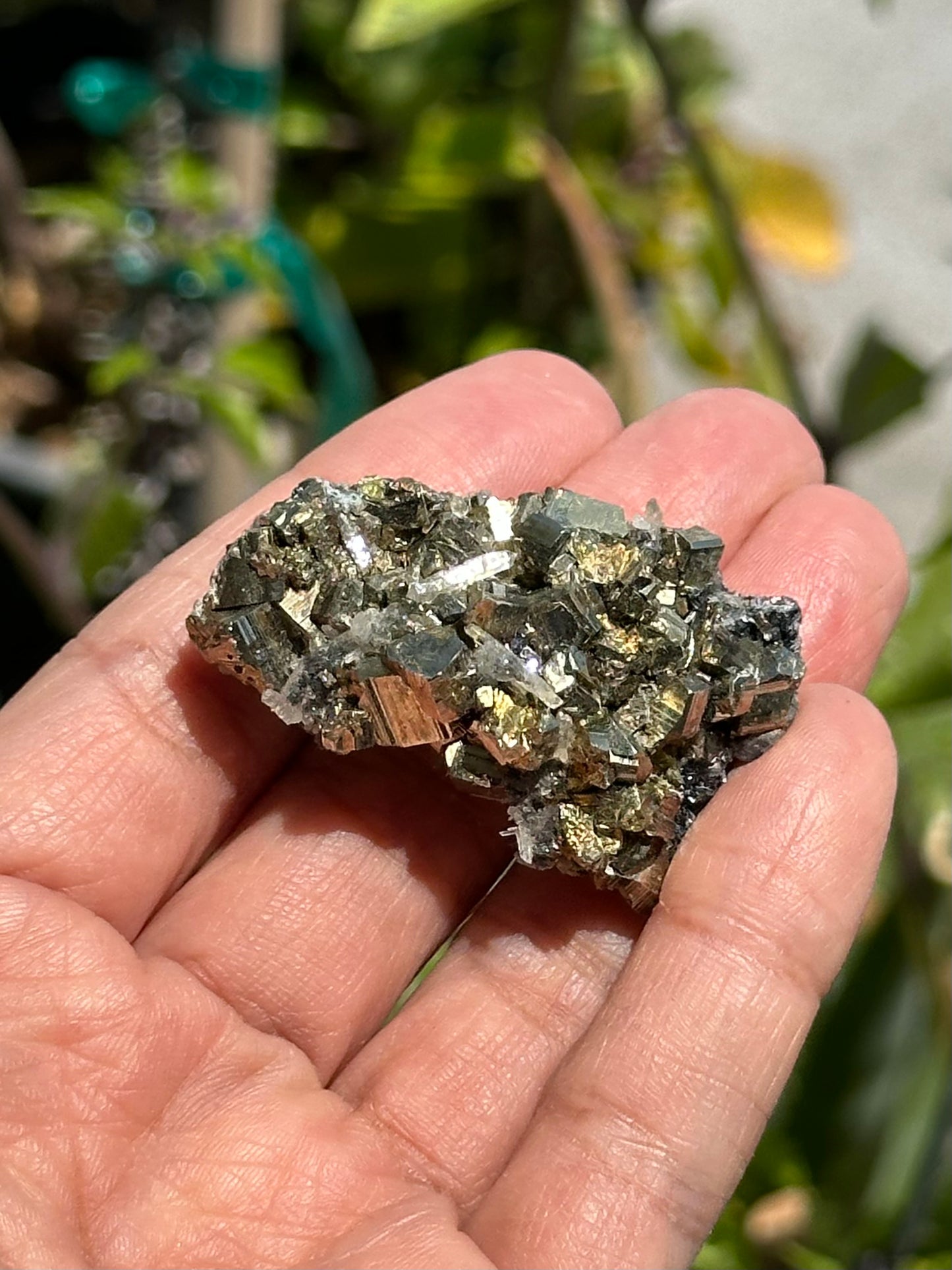 Pyrite and Quartz