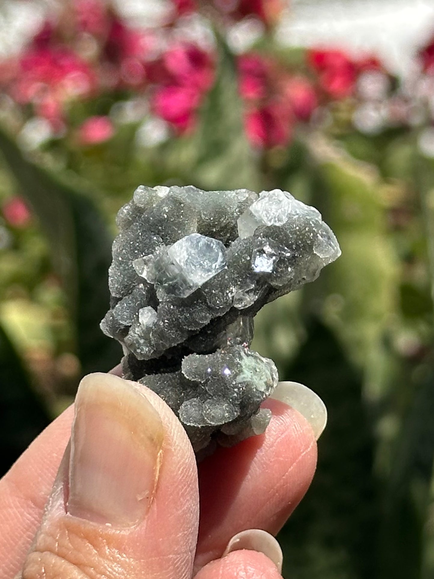 Black Chalcedony with Apophyllite