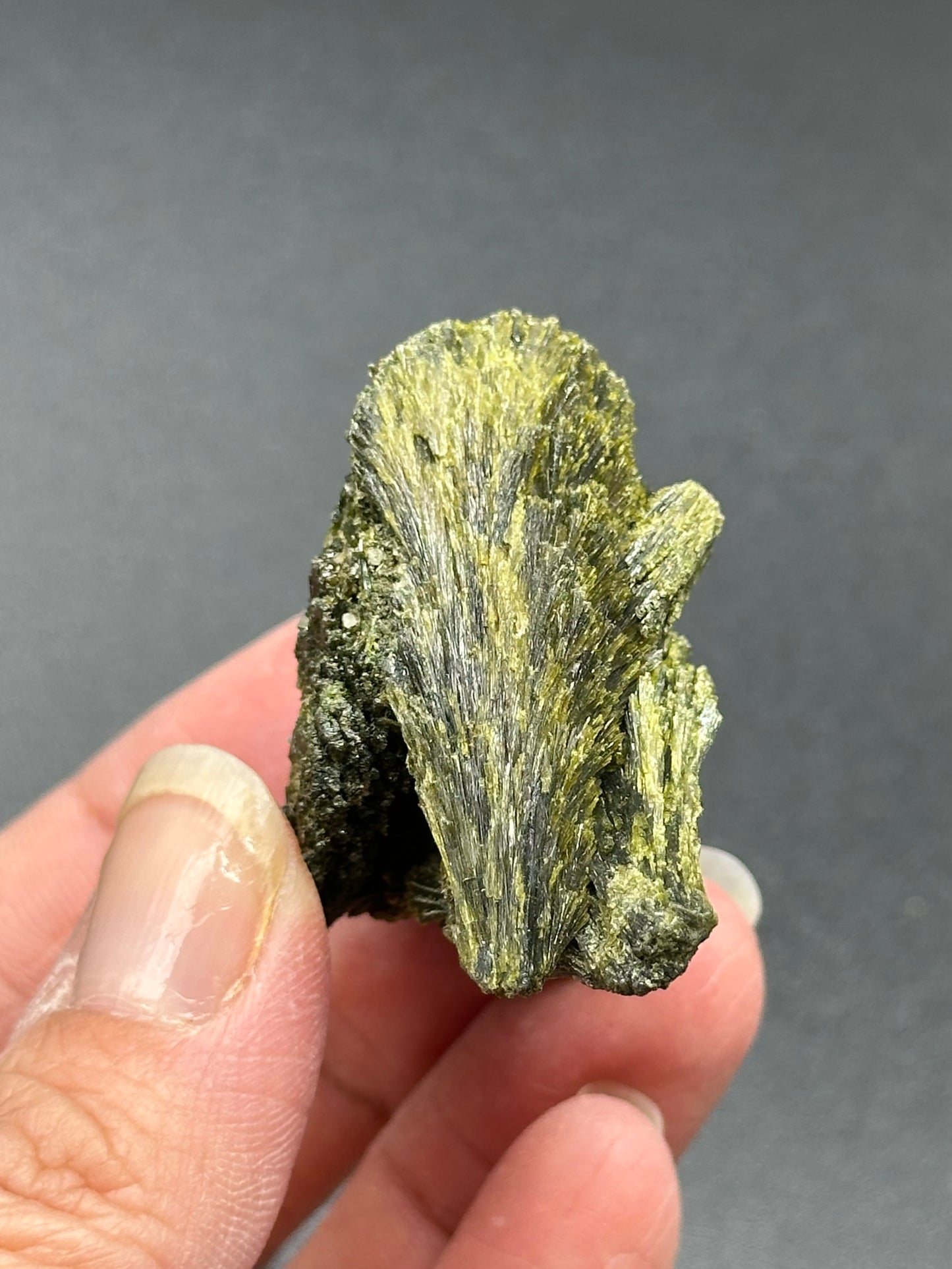 Epidote Fan