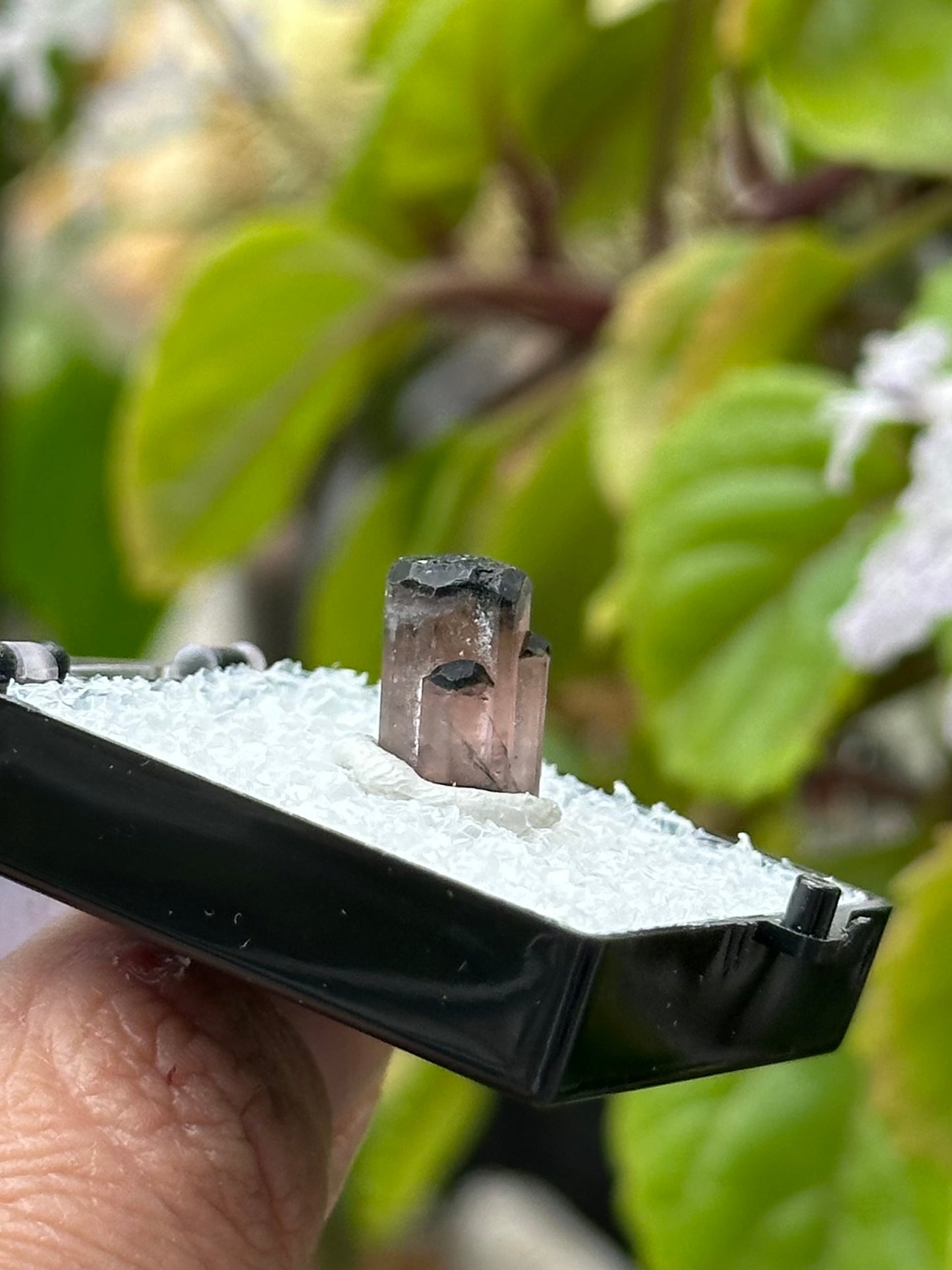 Tourmaline Specimen from Afghanistan