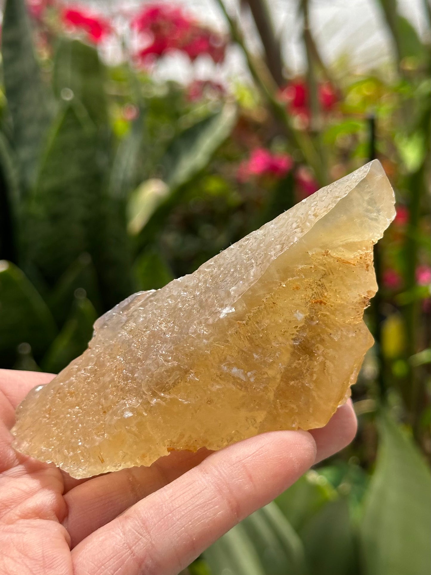 Etched Calcite with Galena