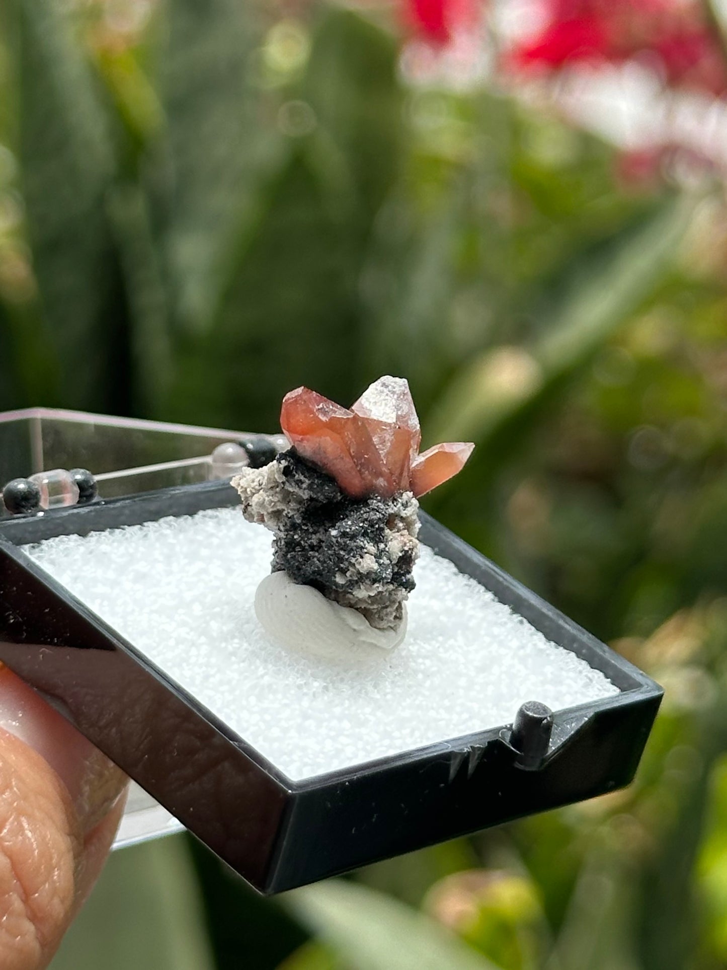 Topaz from Mexico