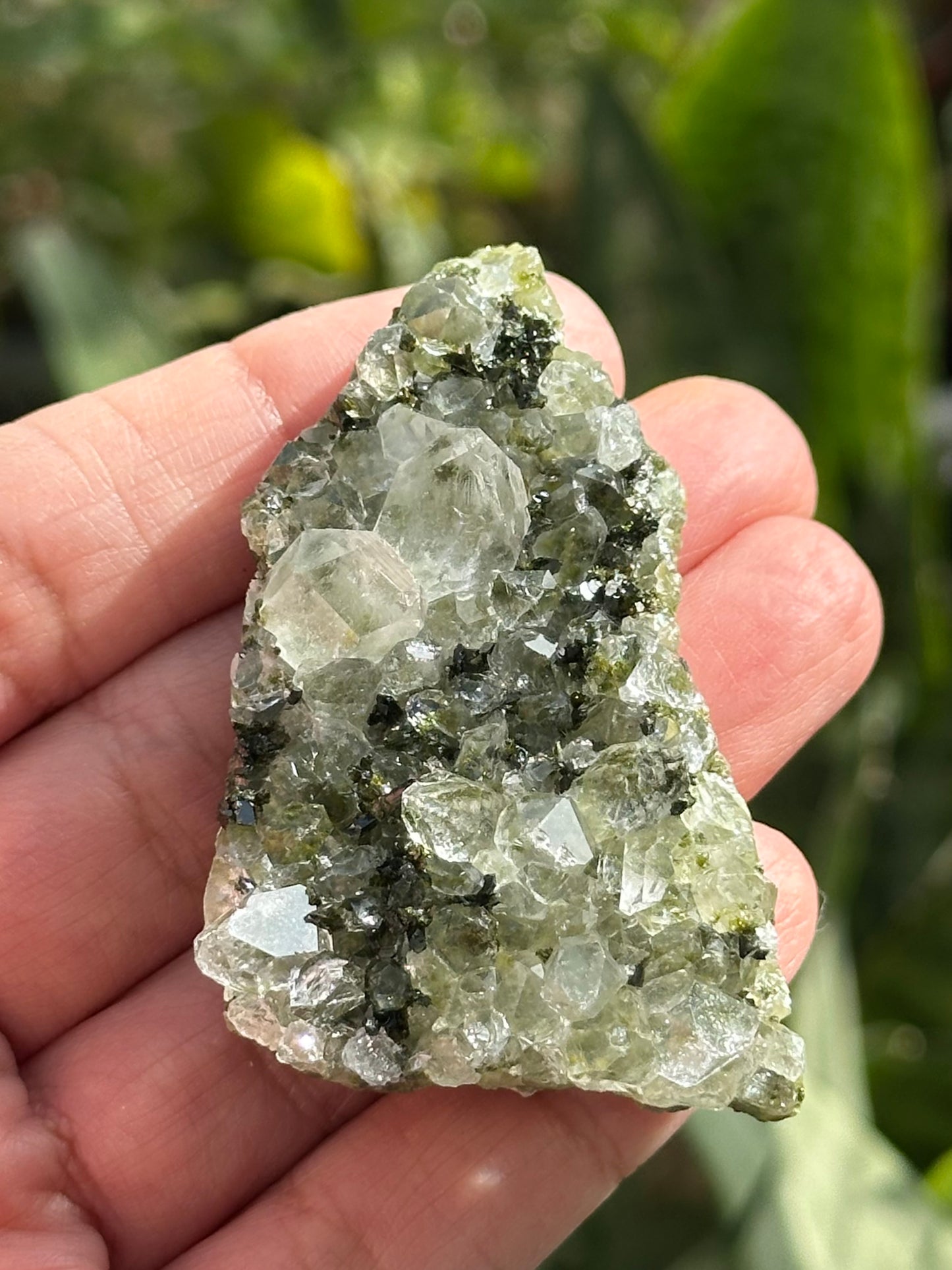 Epidote and Quartz from Hakkari Province, Turkey