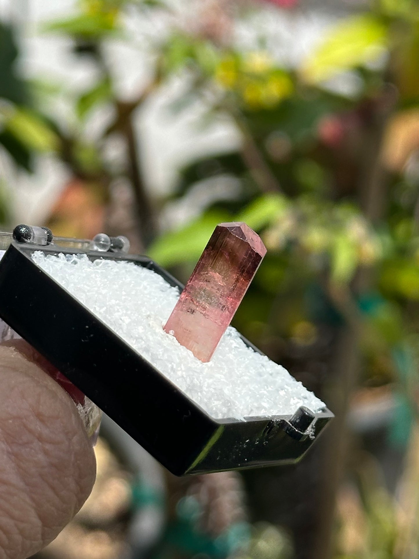 Tourmaline from Água Branca, Brazil