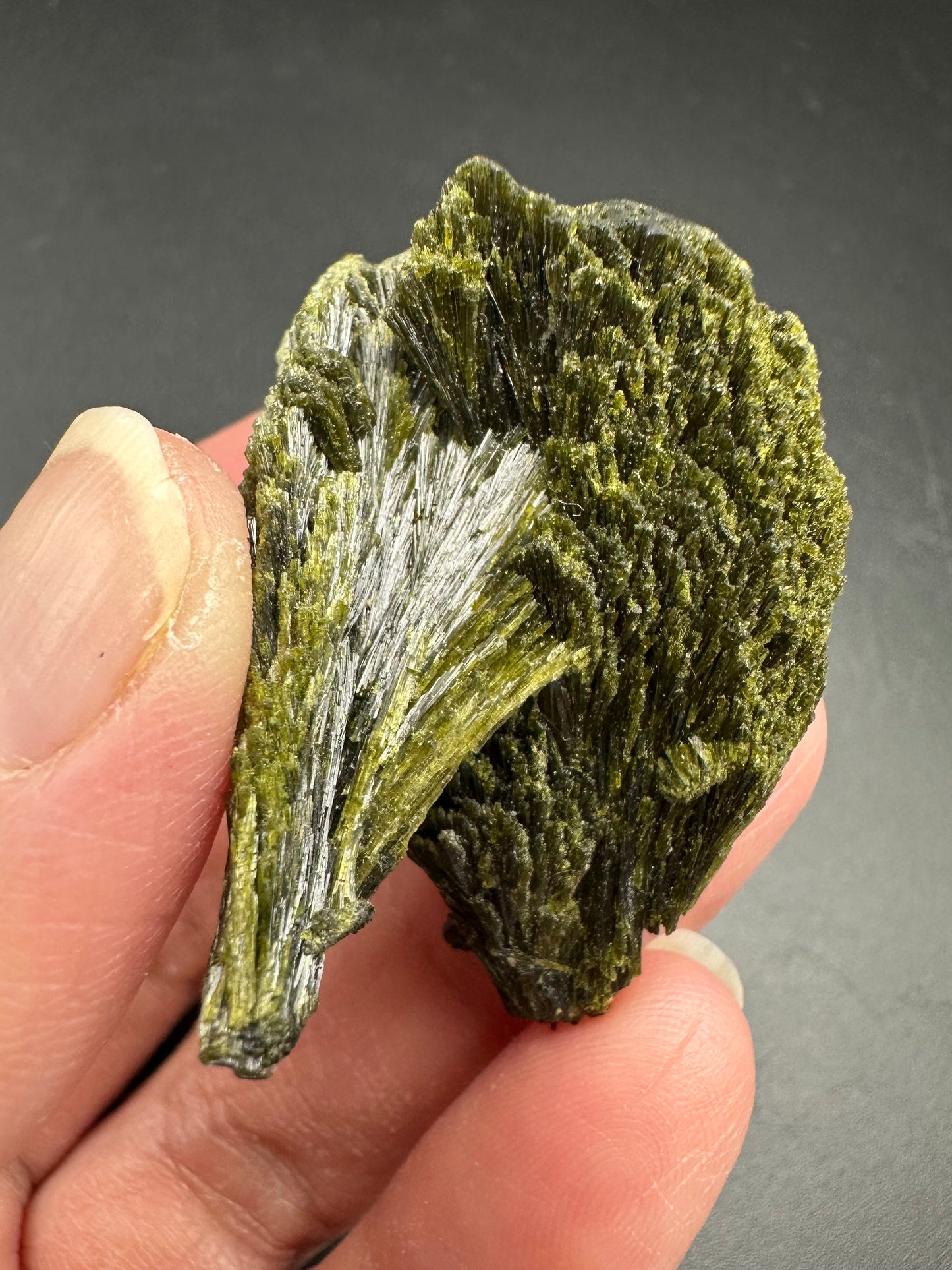 Epidote Fan