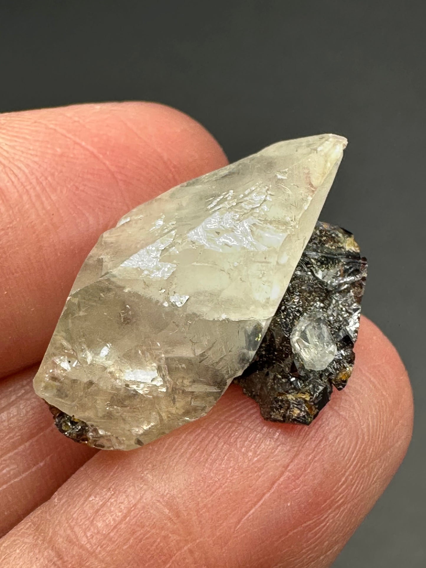 Calcite with Sphalerite from the Elmwood Mine