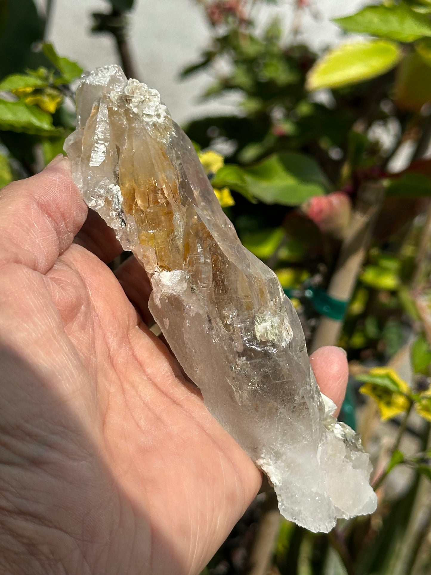 Swiss Quartz Specimen