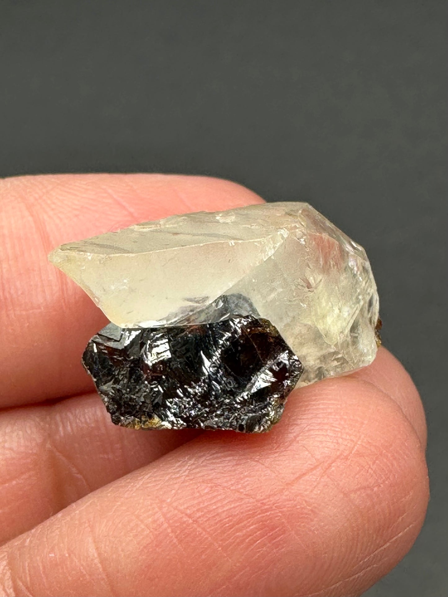 Calcite with Sphalerite from the Elmwood Mine