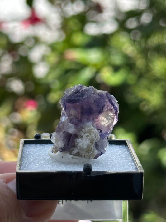 Yindu Fluorite in a perky box from Inner Mongolia, China