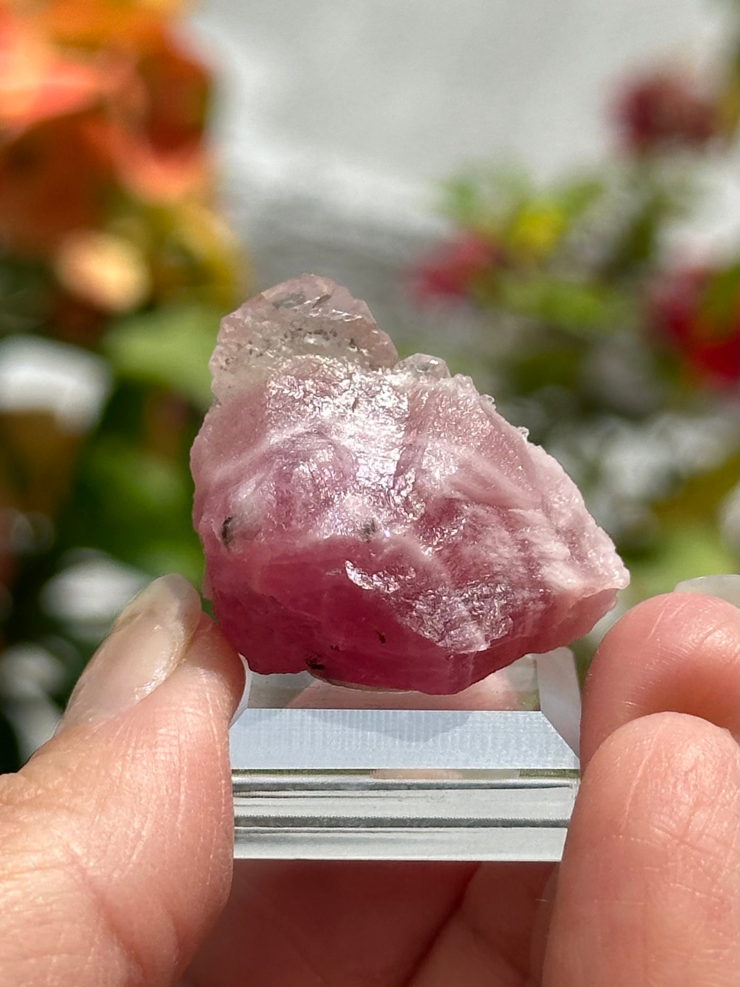 Calcite on Cobaltoan Calcite