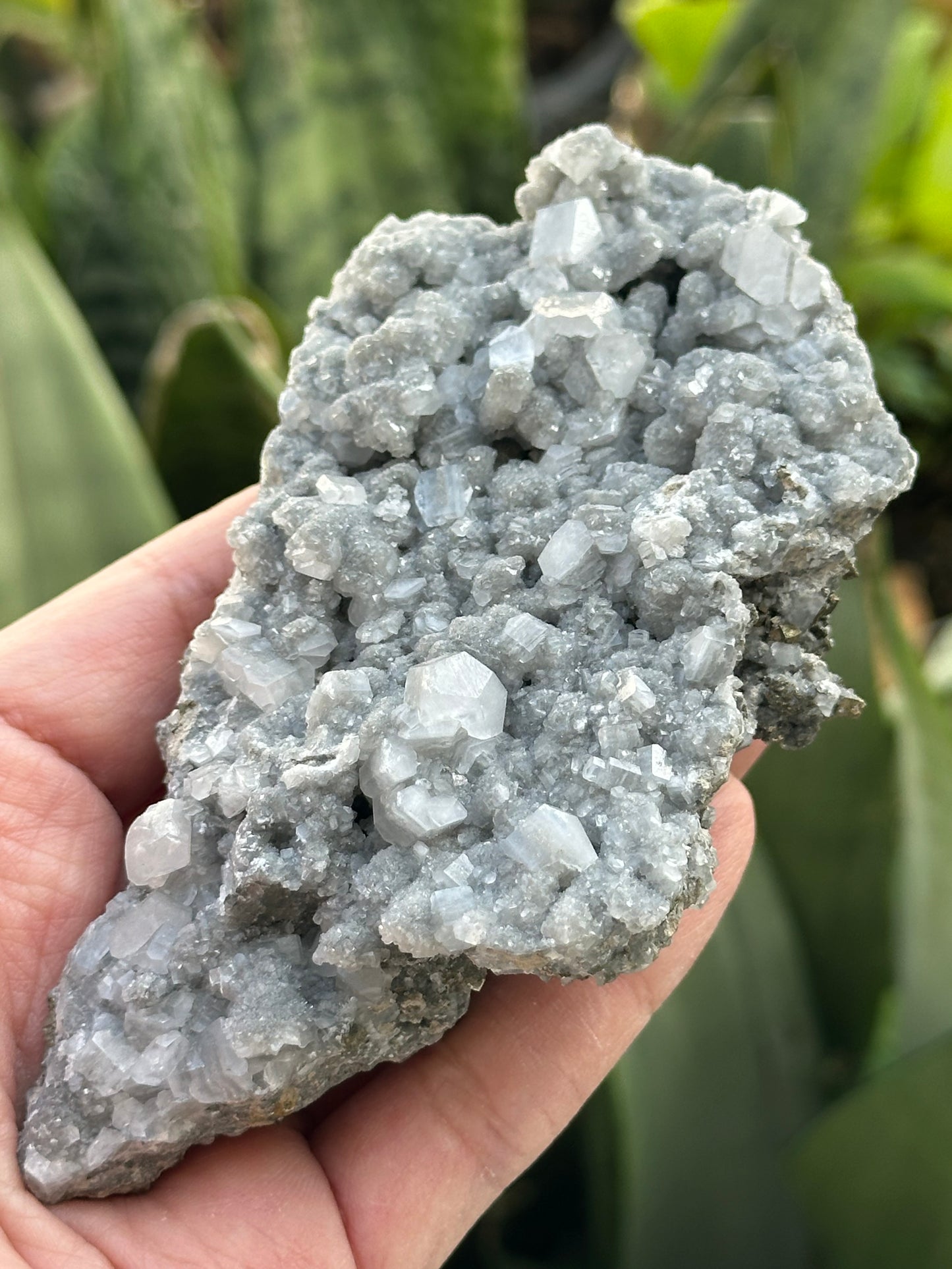Calcite with Pyrite