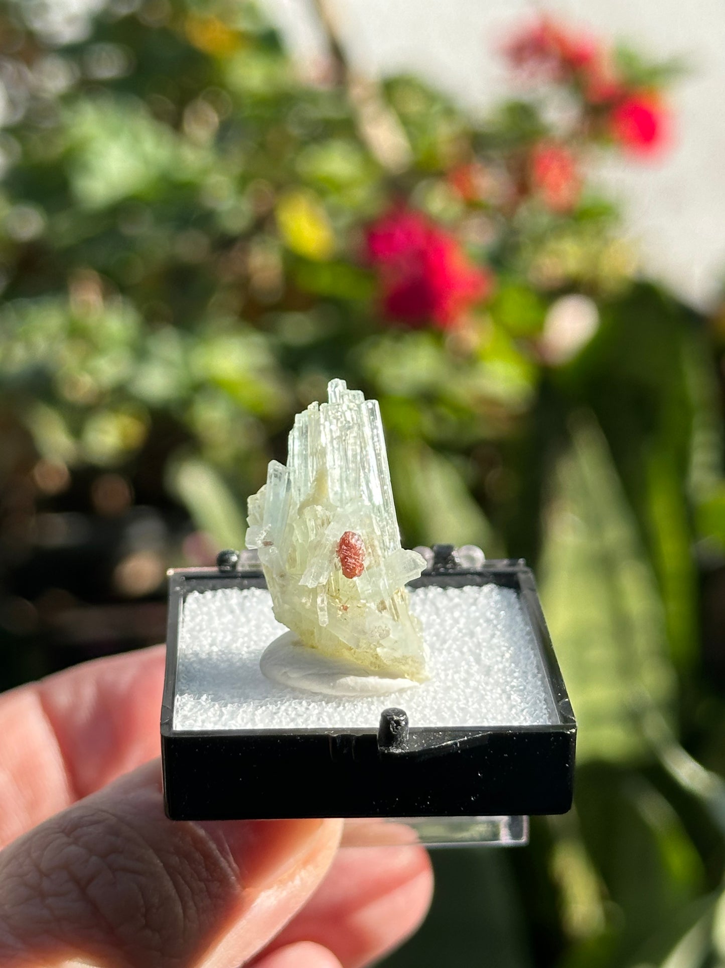 Aquamarine with Garnet