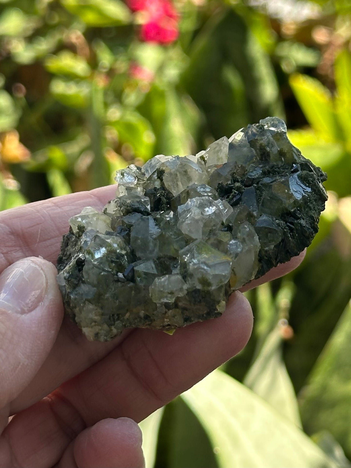 Epidote with Quartz