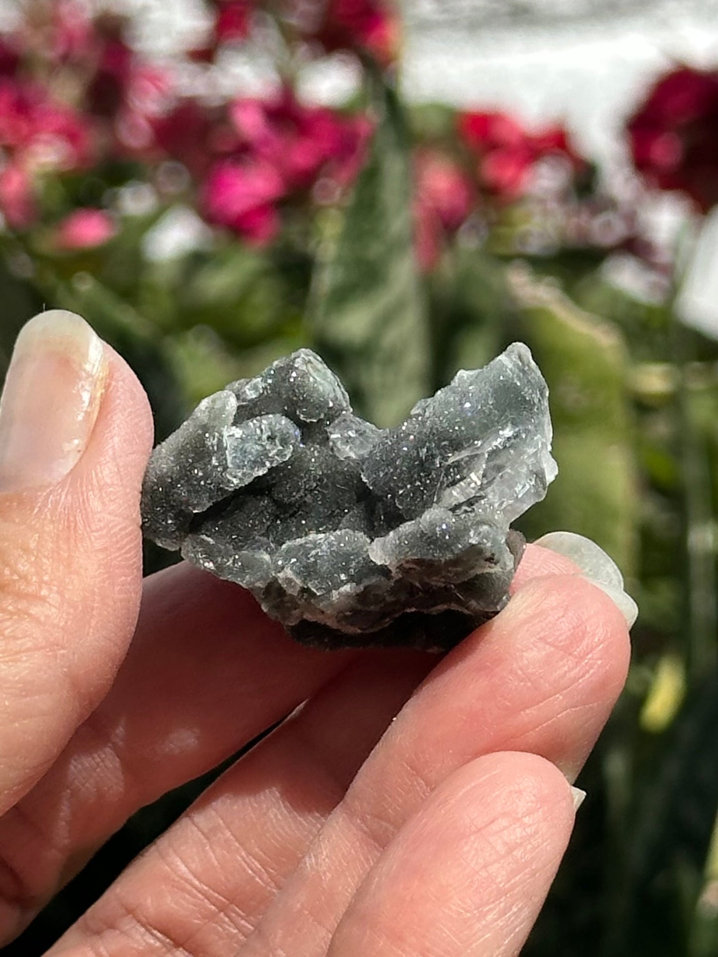 Black Chalcedony with Apophyllite
