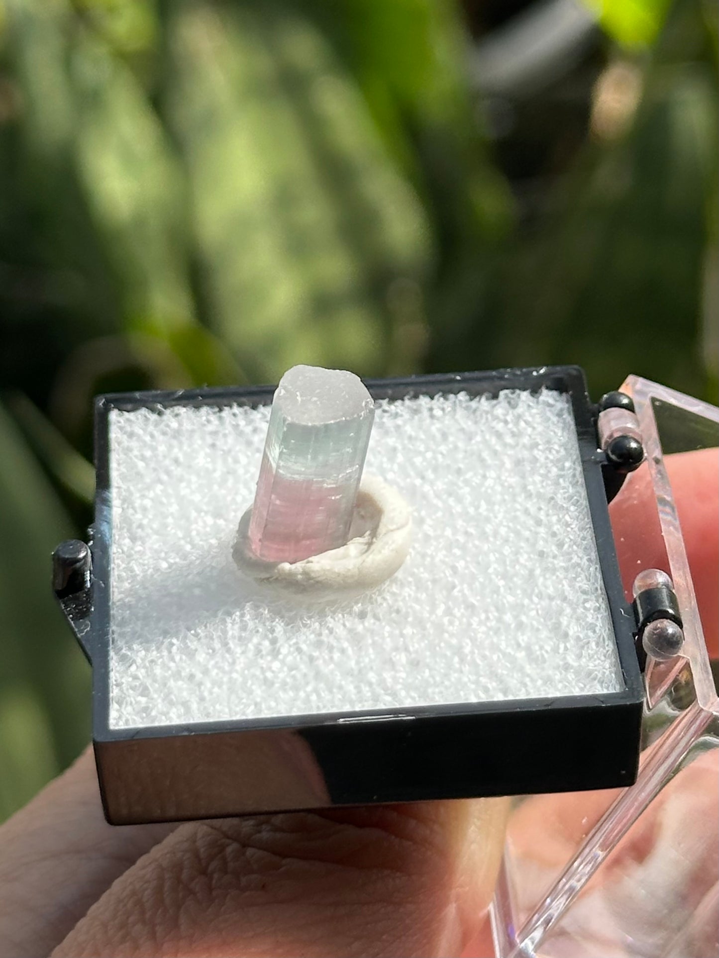 Paprok Tourmaline