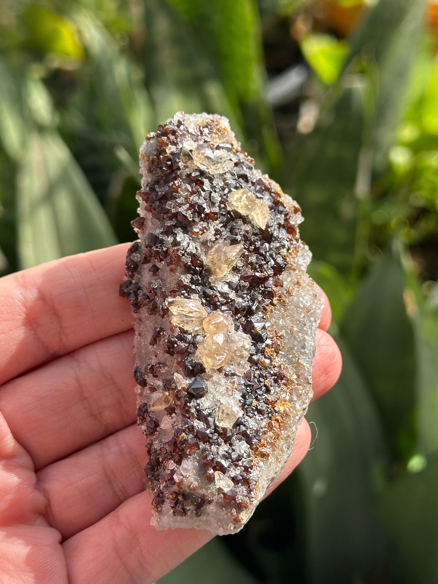 Calcite with Sphalerite and Dolomite from the Elmwood Mine