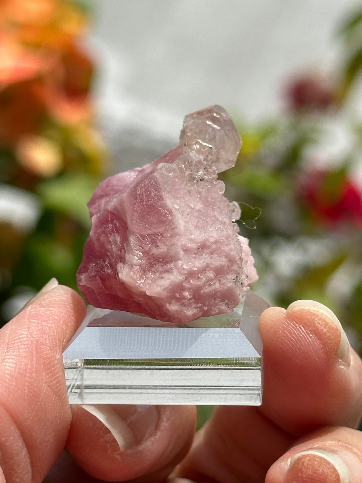Calcite on Cobaltoan Calcite