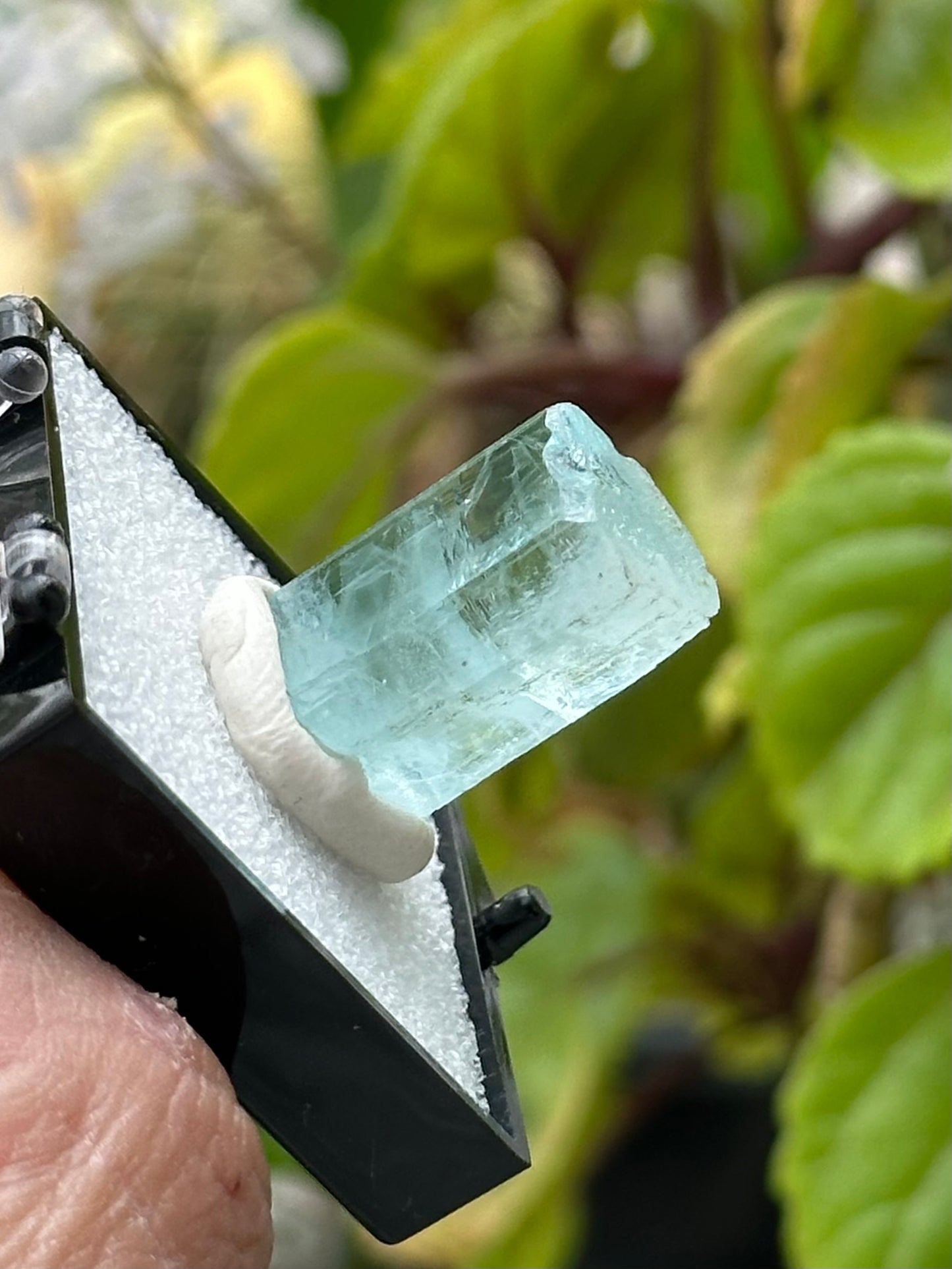Aquamarine from Shigar Valley