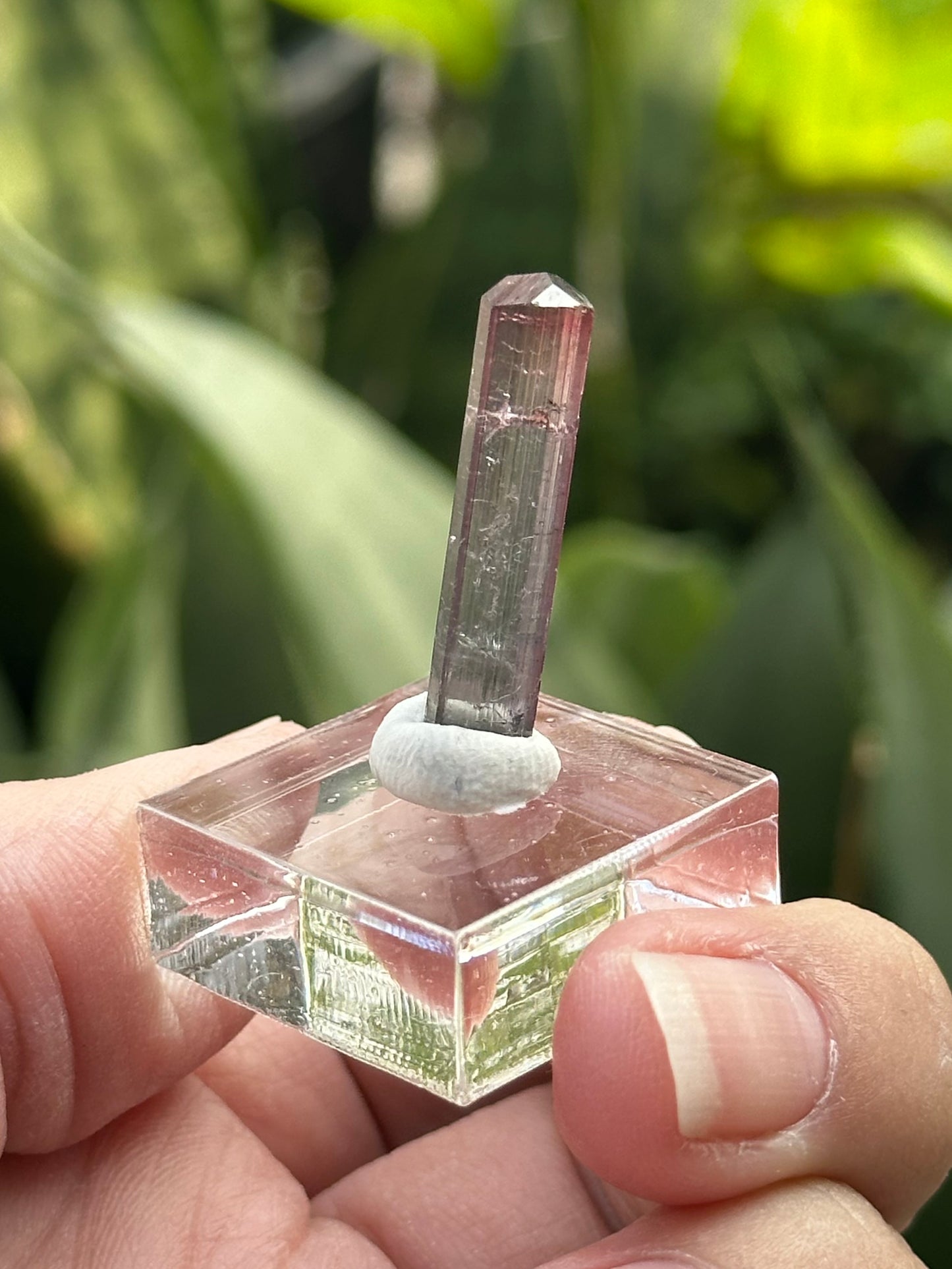 Tourmaline from Barra do Salinas, Brazil