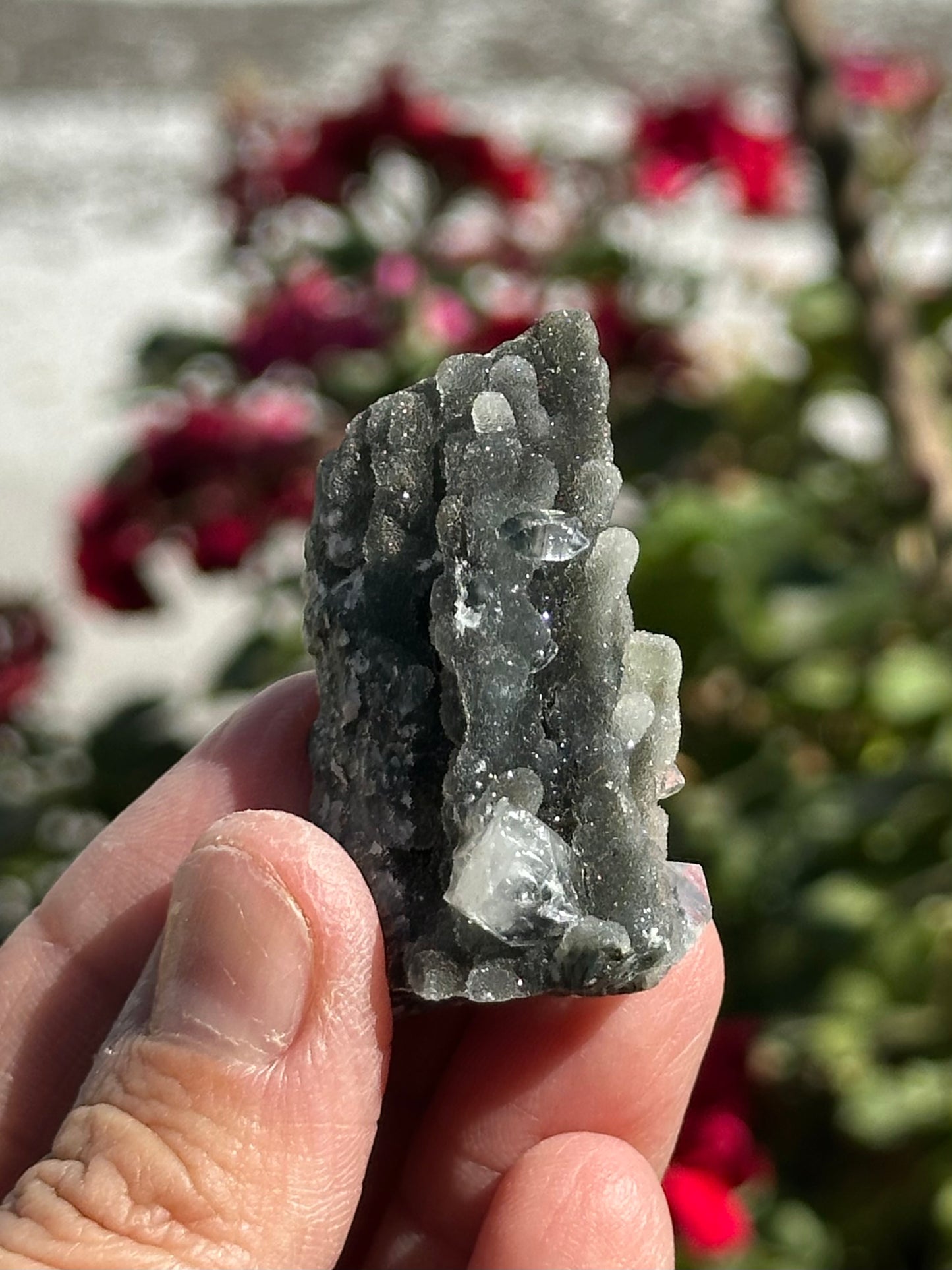 Black Chalcedony with Apophyllite