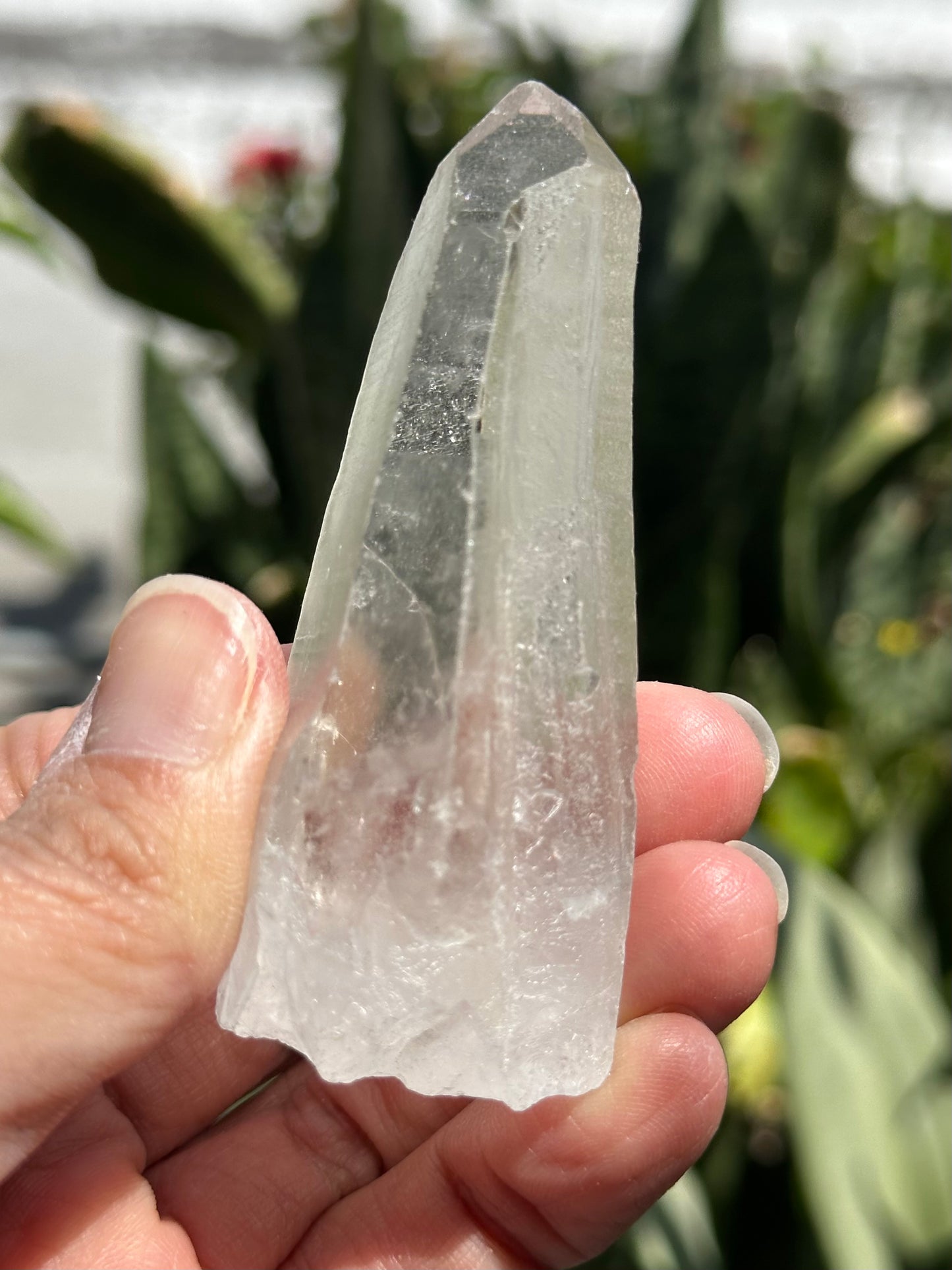 Lemurian Quartz