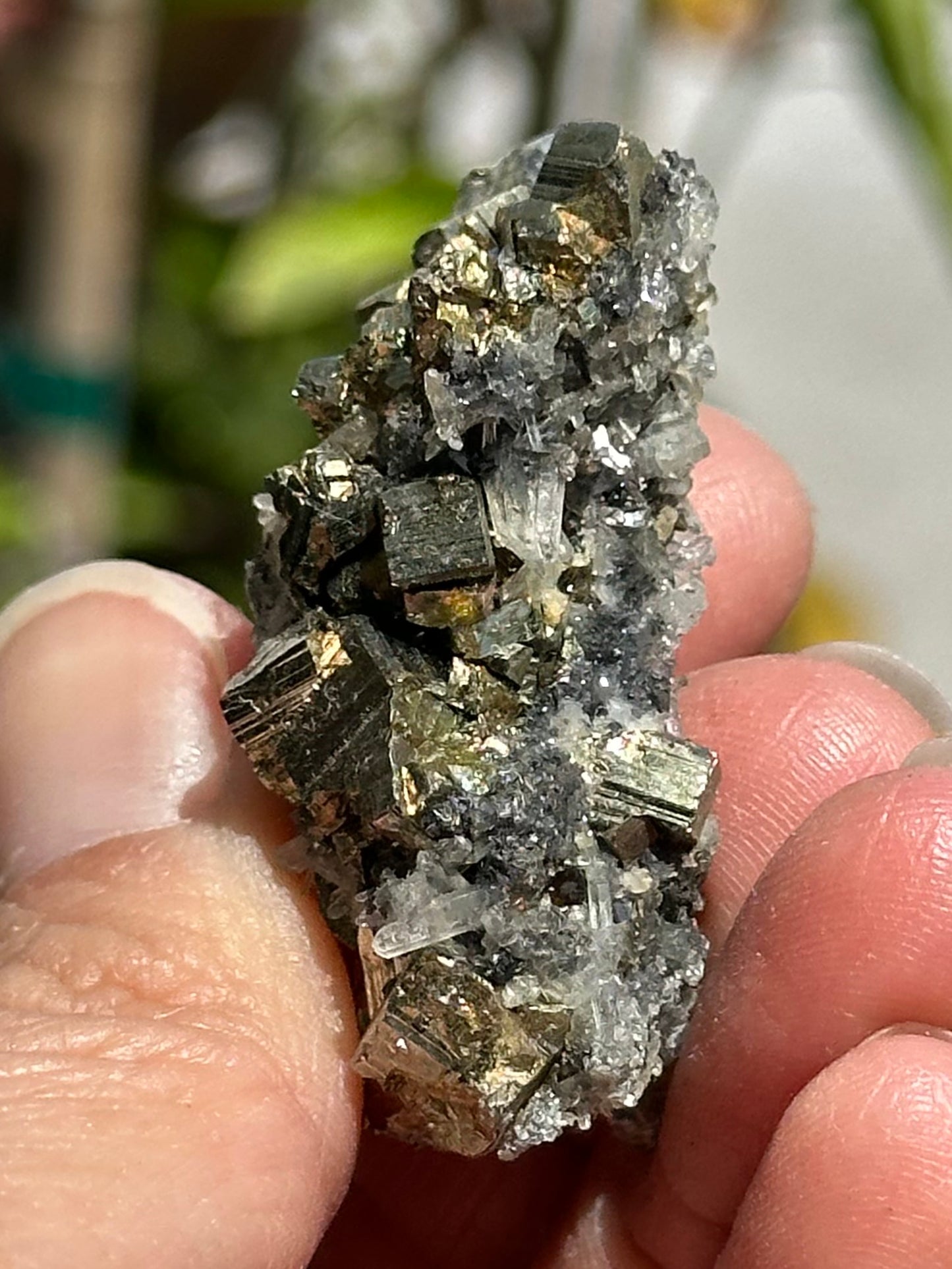 Pyrite and Quartz