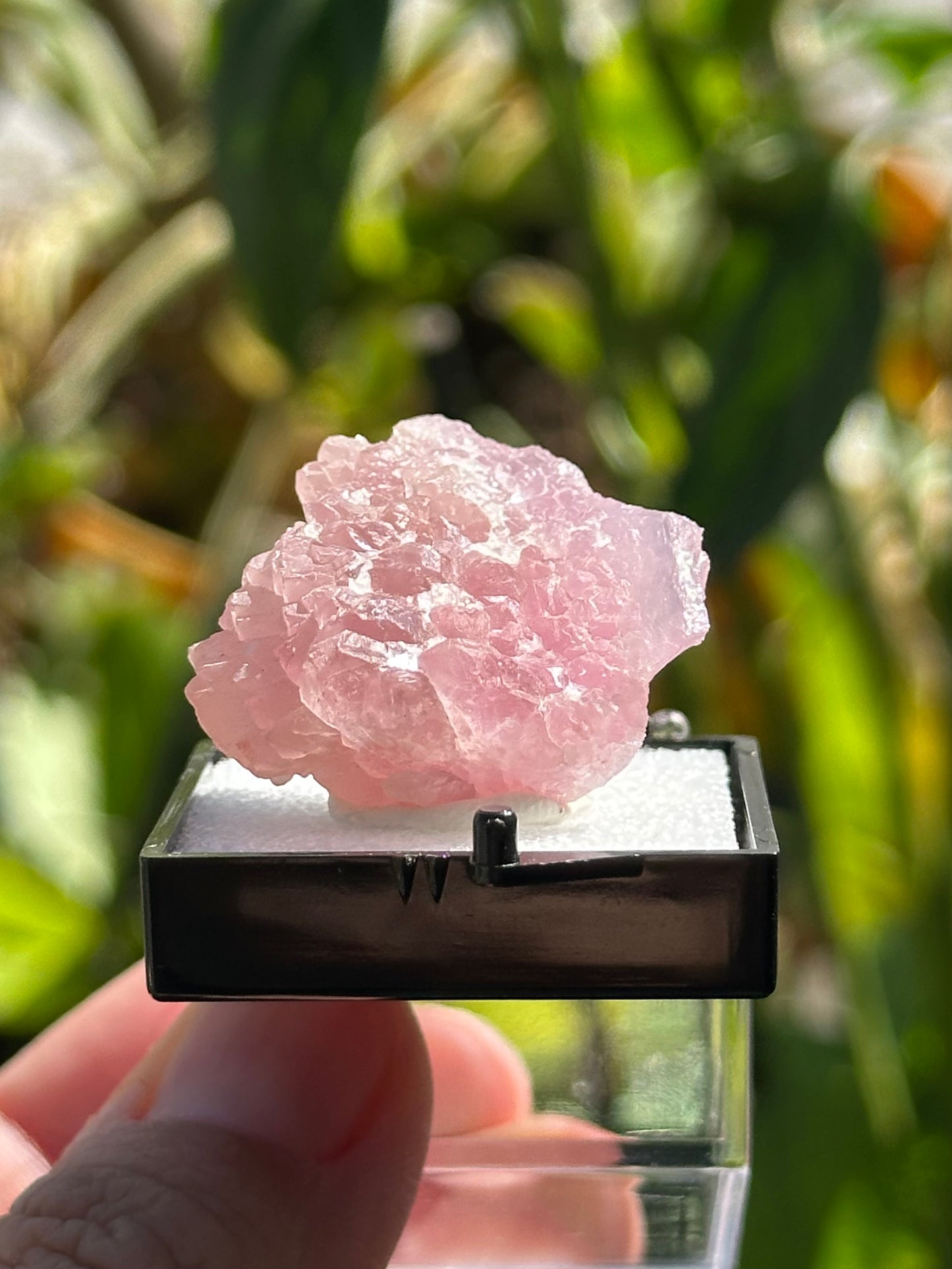 Crystallized Rose Quartz
