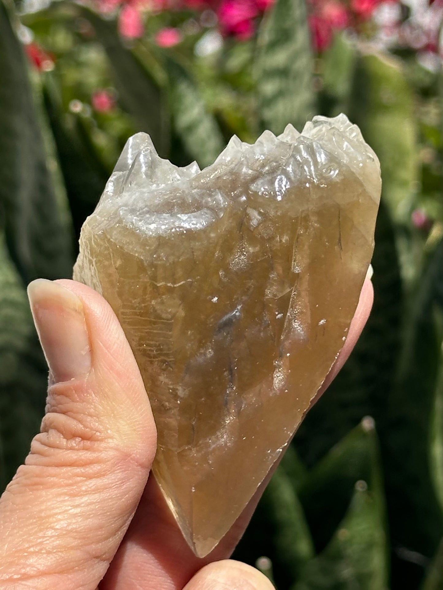 Etched Calcite with Galena