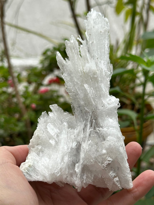 Selenite from Guizhou