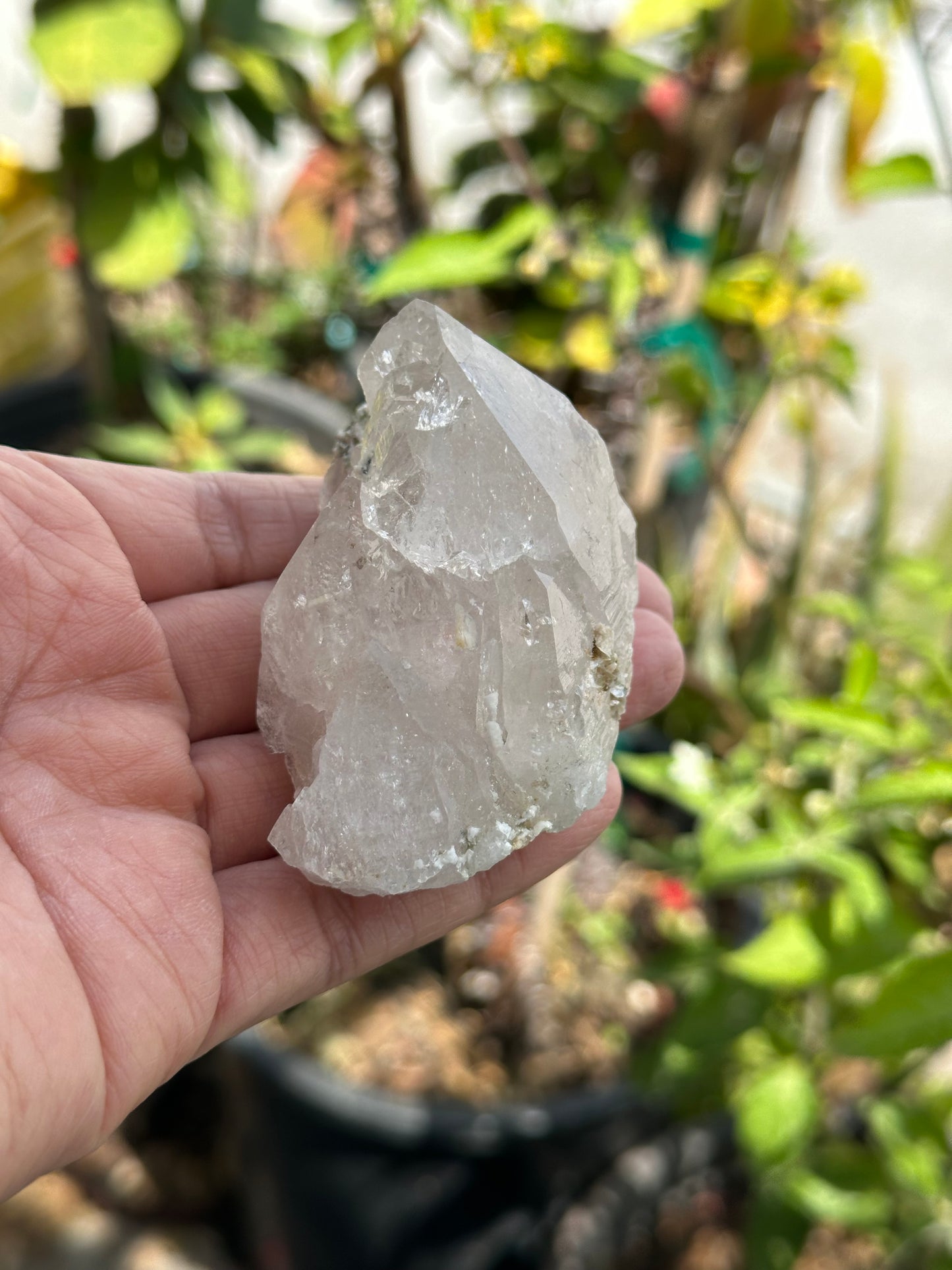 Swiss Quartz Specimen