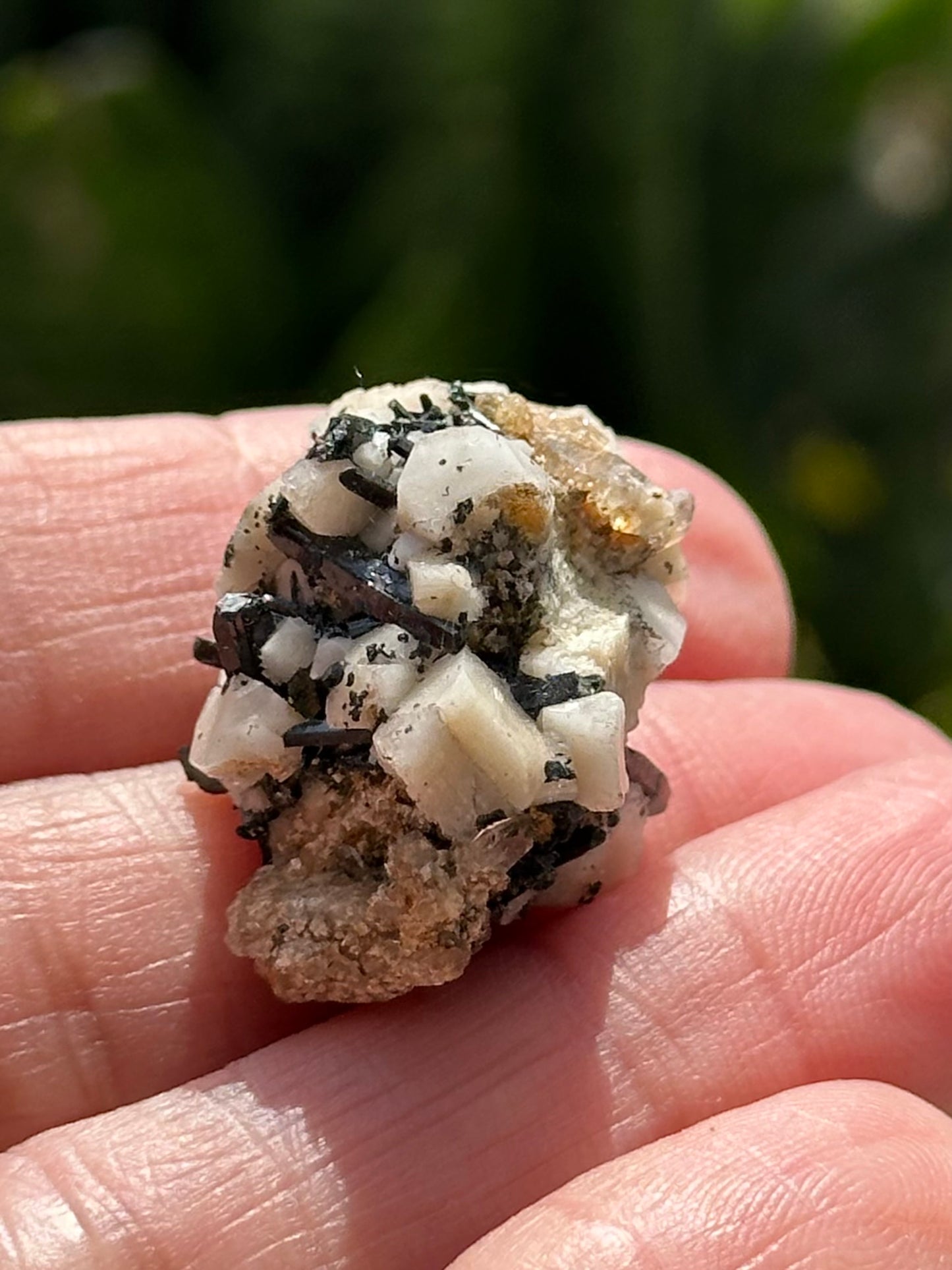 Aegirine and Feldspar Specimen