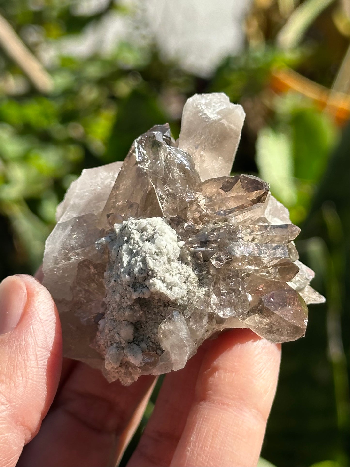Swiss Quartz Cluster