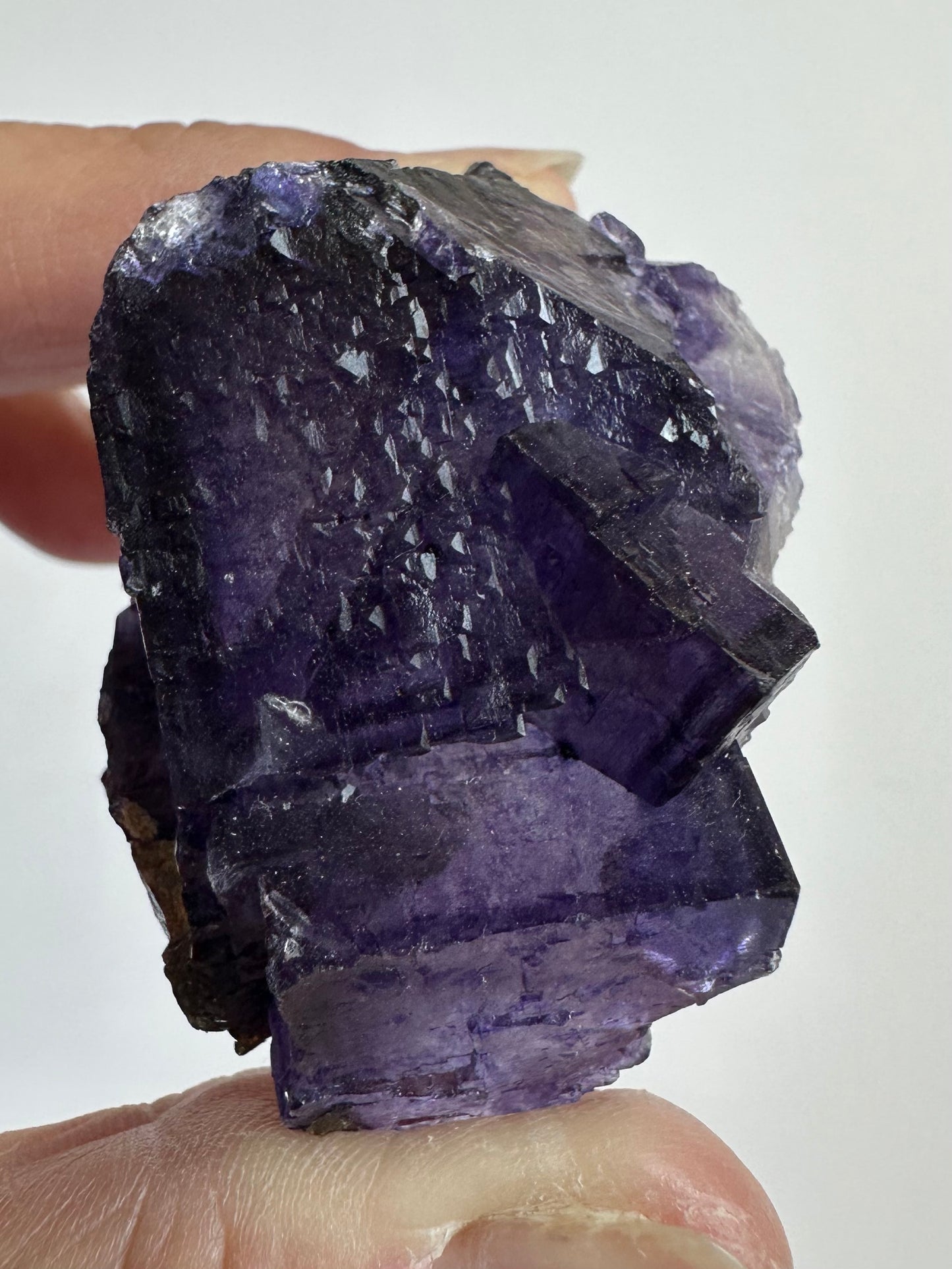 Fluorite with Sphalerite Specimen from the Elmwood Mine