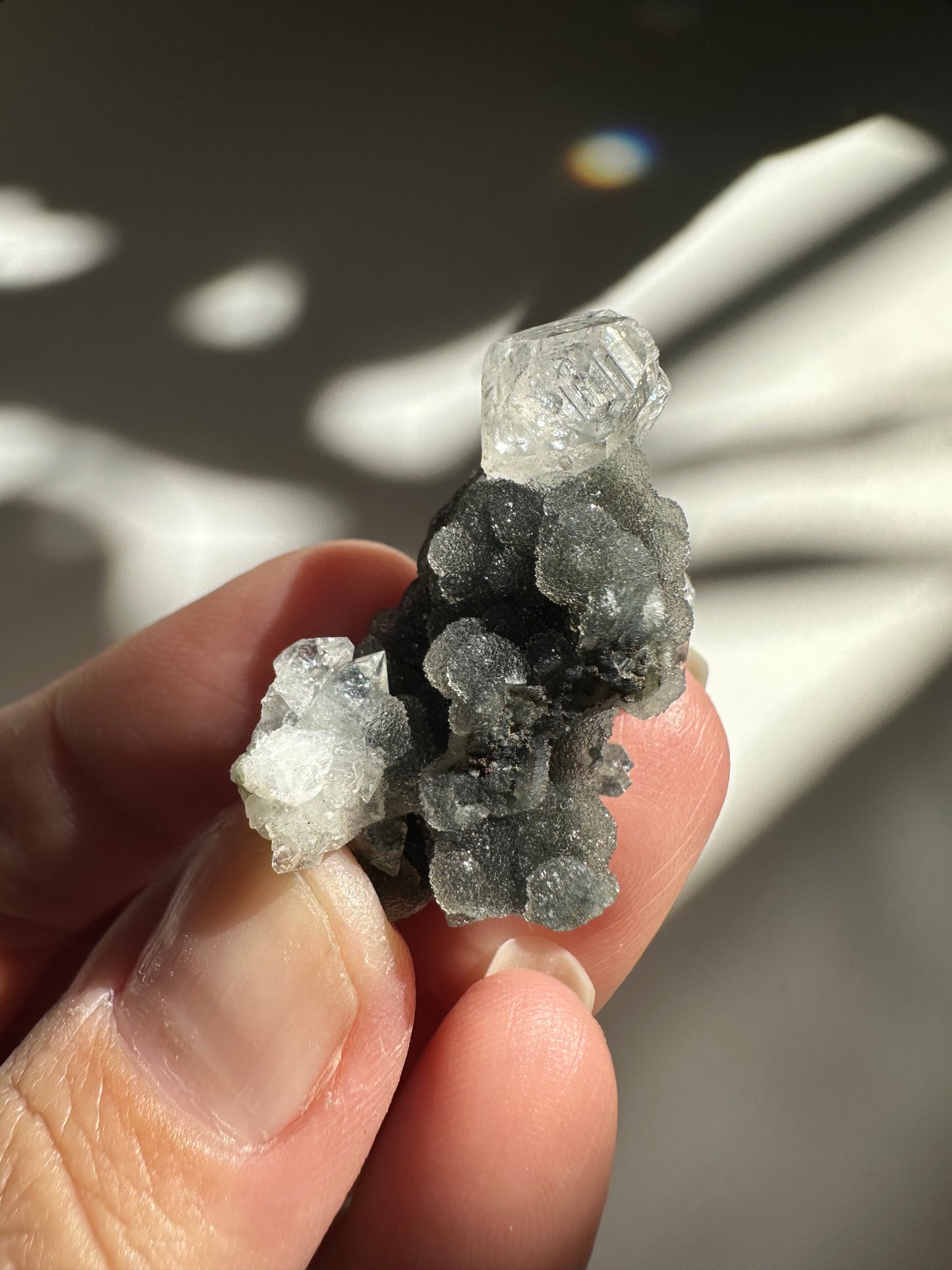 Black Chalcedony with Apophyllite