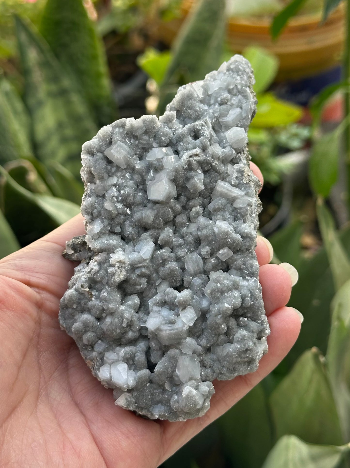 Calcite with Pyrite