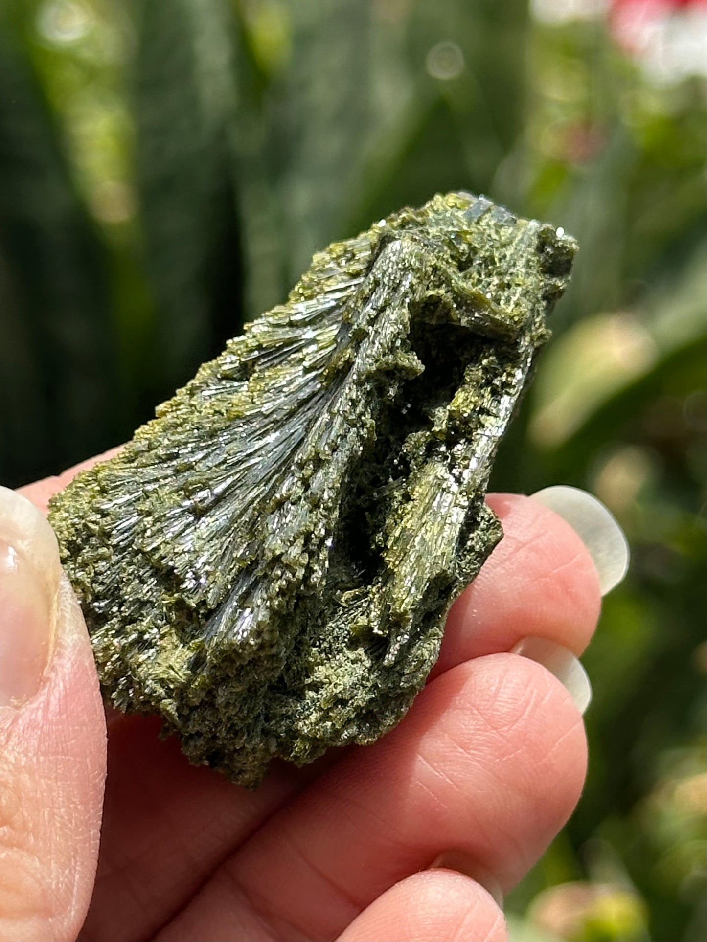 Epidote Fan