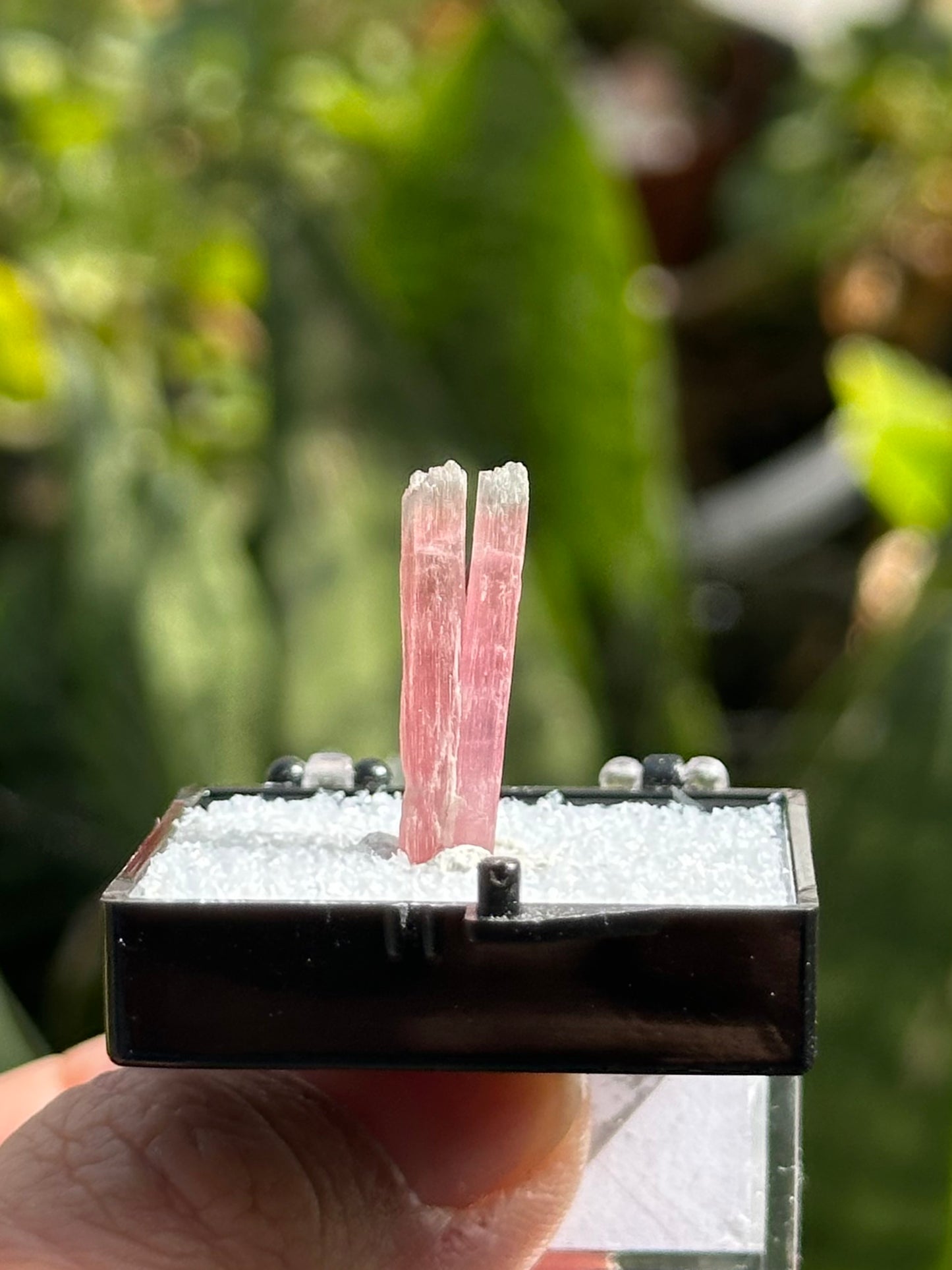 Tourmaline Specimen from Kunar Valley