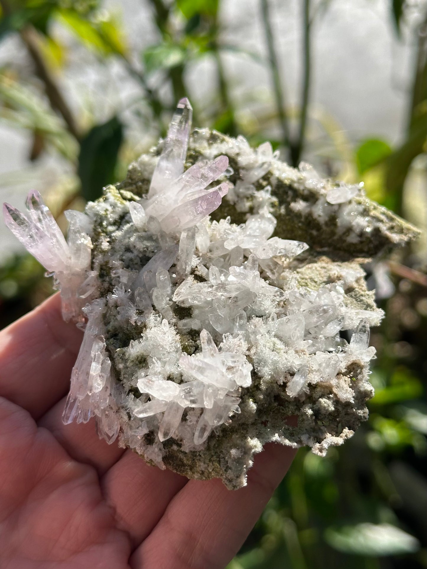 Veracruz Amethyst Crystals on Matrix
