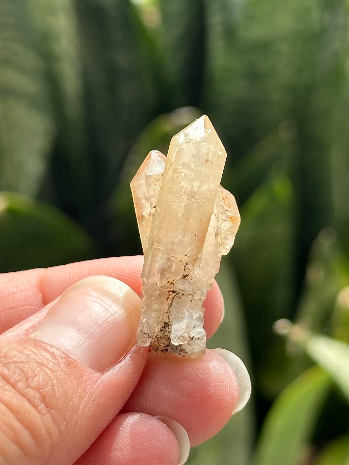 Quartz Scepter