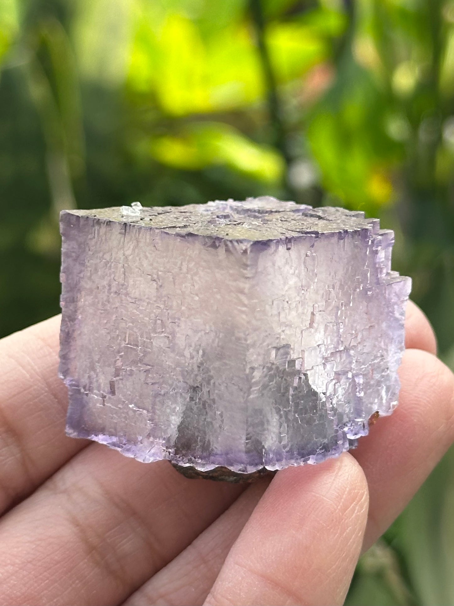 Fluorite Cube from the Elmwood Mine