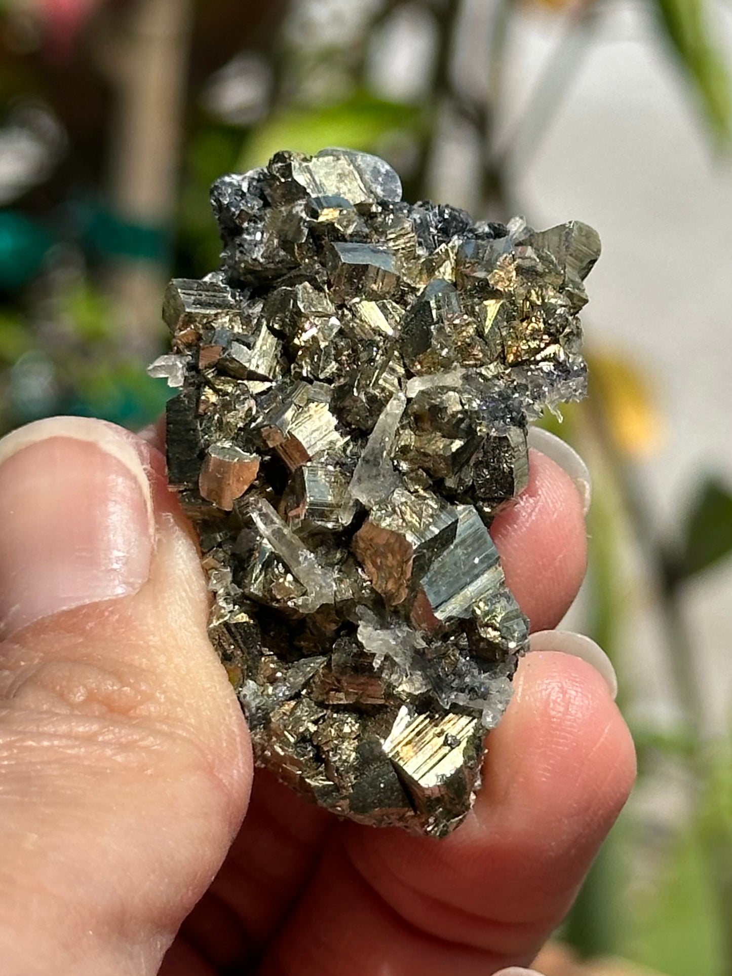Pyrite and Quartz