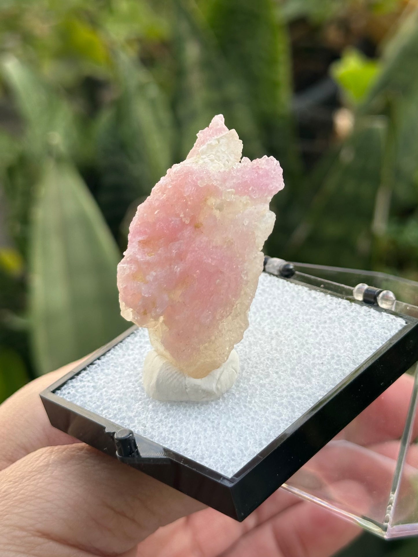 Crystallized Rose Quartz on Quartz