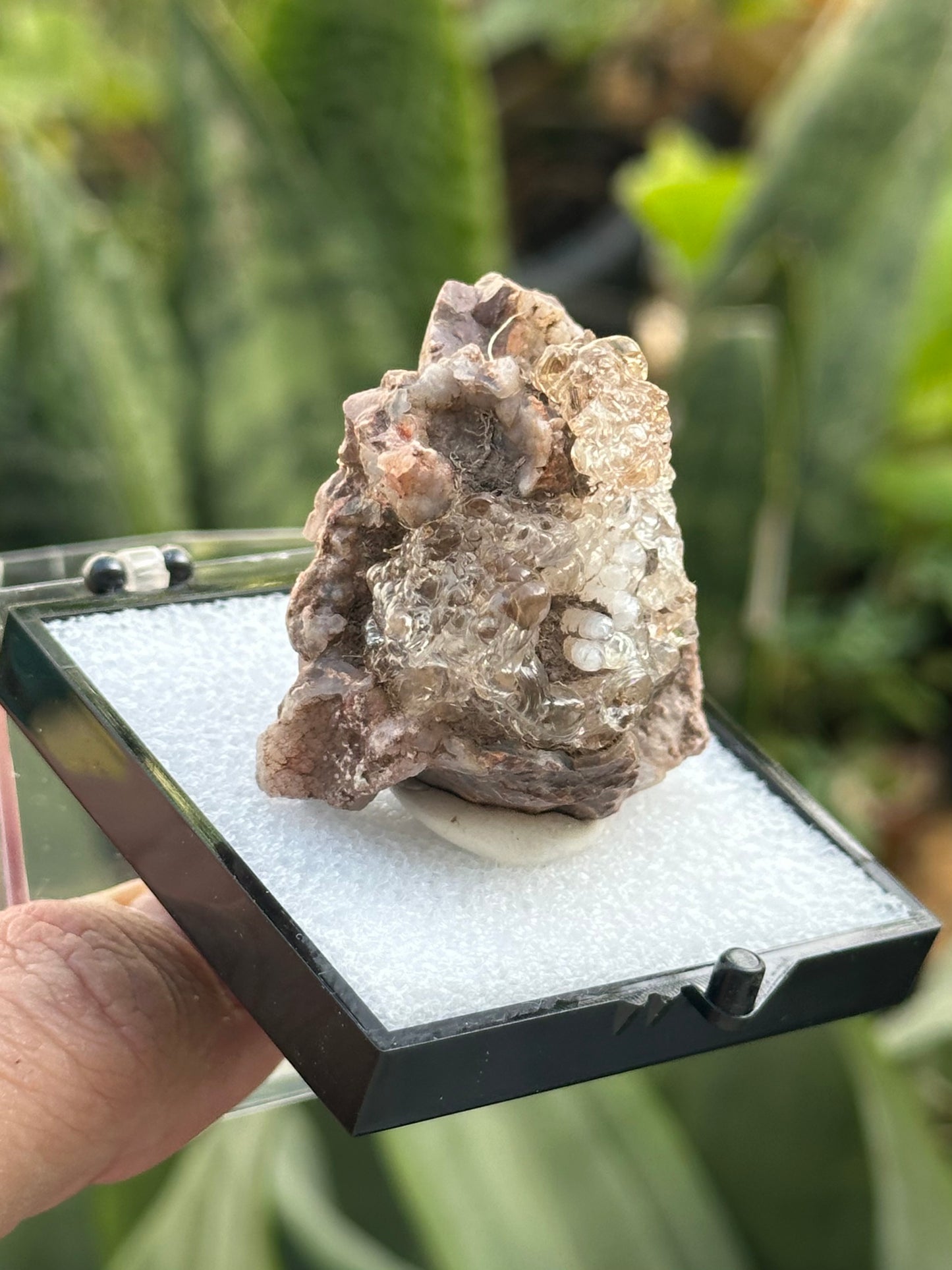 Hyalite Opal from Mexico
