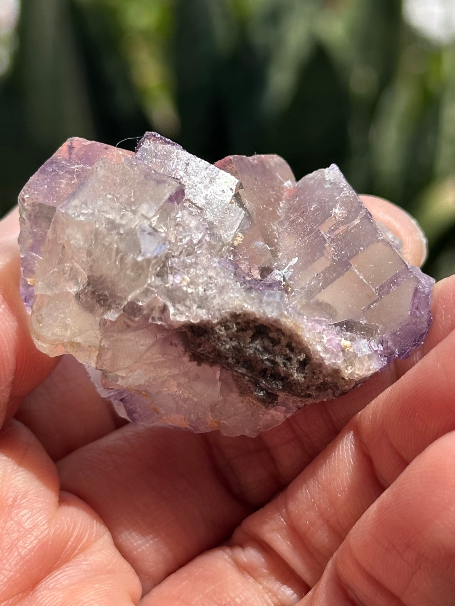 Galaxy Fluorite