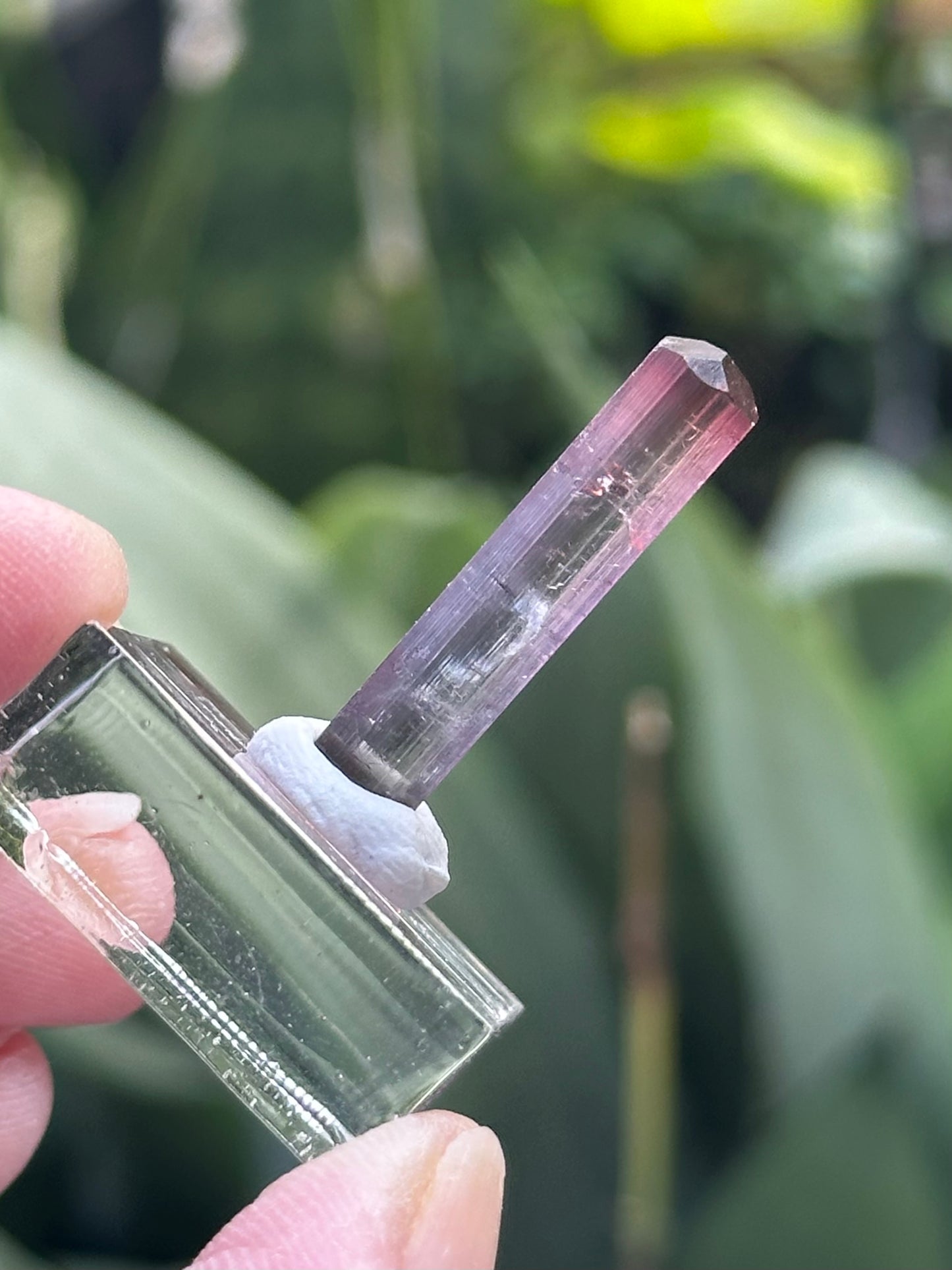 Tourmaline from Barra do Salinas, Brazil