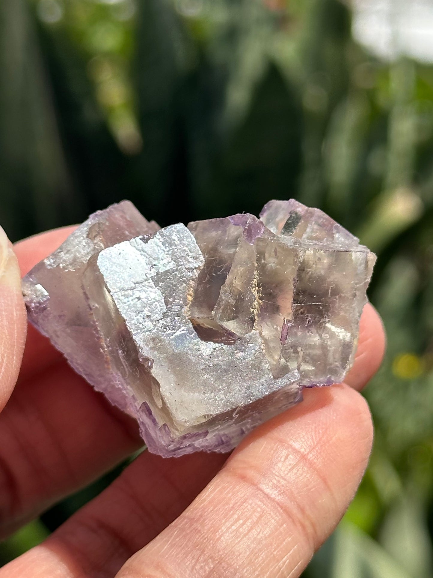 Galaxy Fluorite