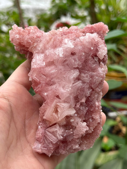 Pink Halite
